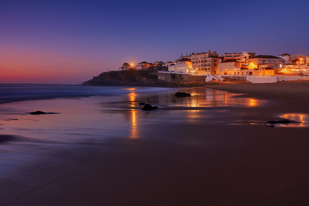 DOMAINE DE LA PALMERAIE SAS