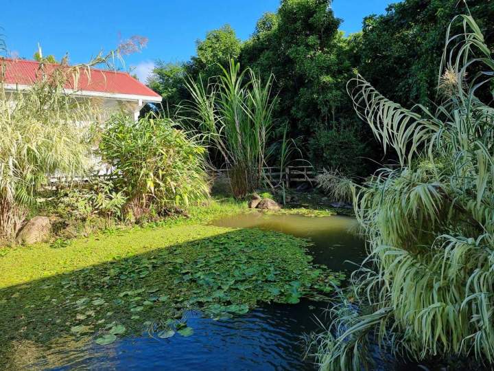 Soirées sous le carbet Guadeloupe