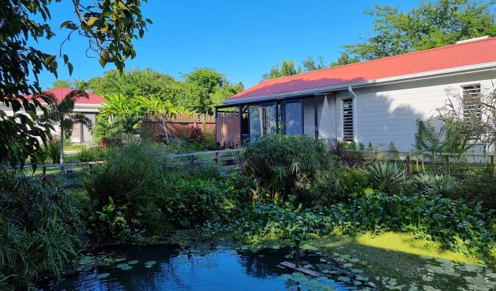 Villa de location avec piscine en Guadeloupe