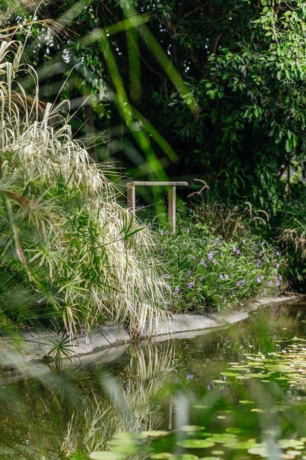 Espace vert de villa de vacances Guadeloupe