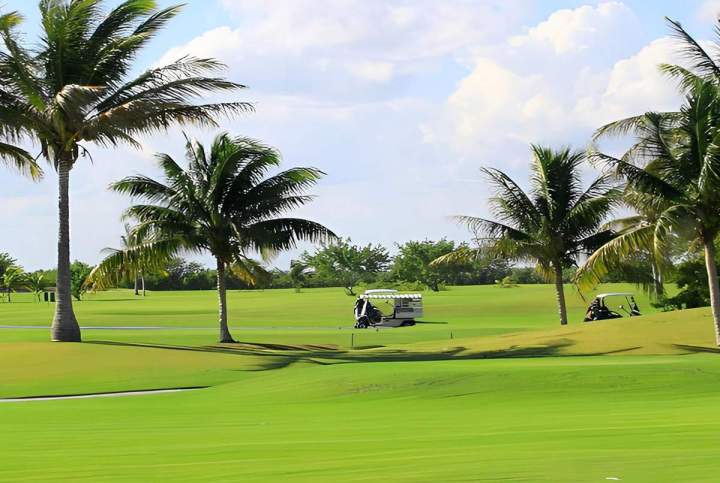 Terrain de golf Guadeloupe